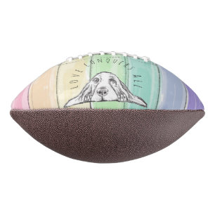 love conquers all dog rainbow basset hound football