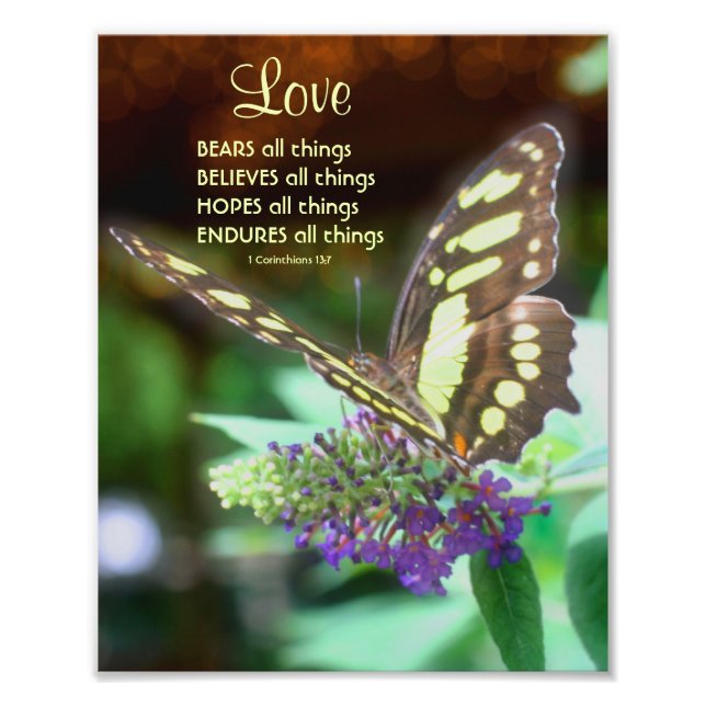Love Corinthians 13:7 Butterfly Bible Quote 8x10 Photo Print (Front)