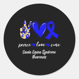 Love Cure Cauda Equina Syndrome Blue Awareness Classic Round Sticker