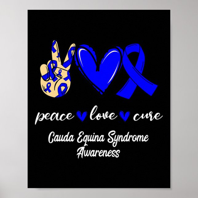 Love Cure Cauda Equina Syndrome Blue Awareness  Poster (Front)