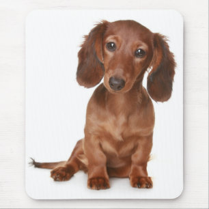 Love Dachshund Puppy Dog Computer Mousepad