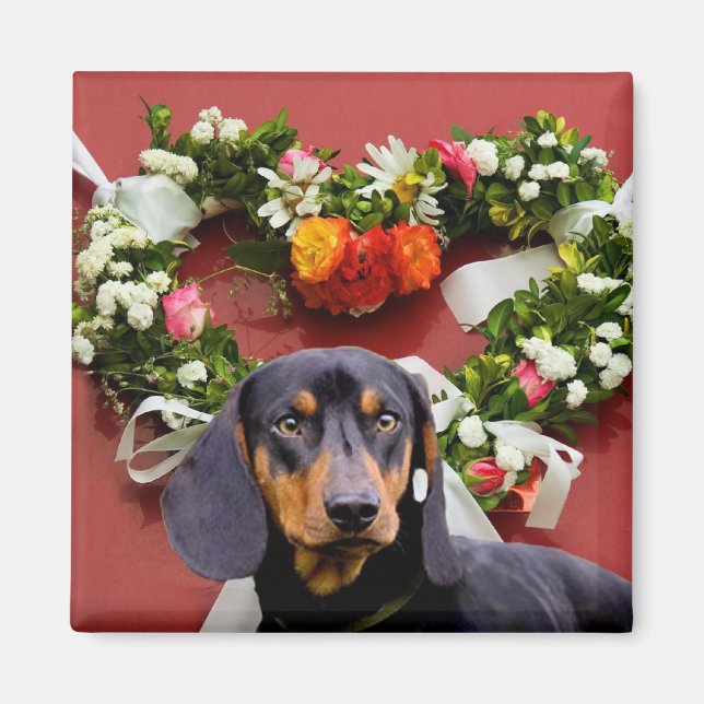 Love Dachsund magnet (Front)