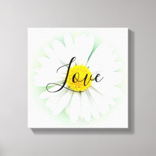 Love Daisy Canvas Print