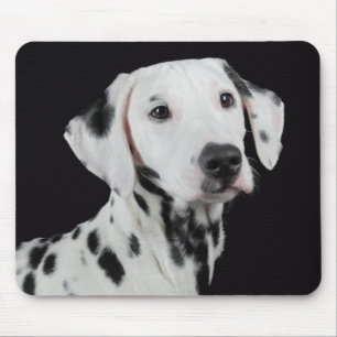 Love Dalmatian Puppy Dog Black Mousepad