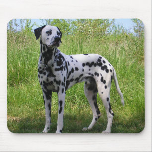 Love Dalmatian Puppy Dog Black Mousepad