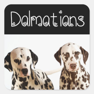 Love Dalmatian Puppy Dog Greeting Stickers