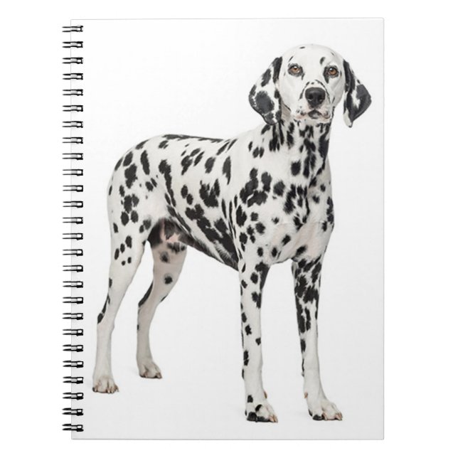 Love Dalmatian Puppy Dog - Spotted Fire Dog Notebook (Front)