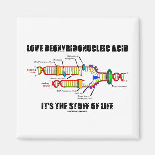 Love Deoxyribonucleic Acid It's The Stuff Of Life Magnet