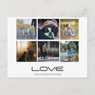 Love Dog Family Portrait Collage Design Postcard