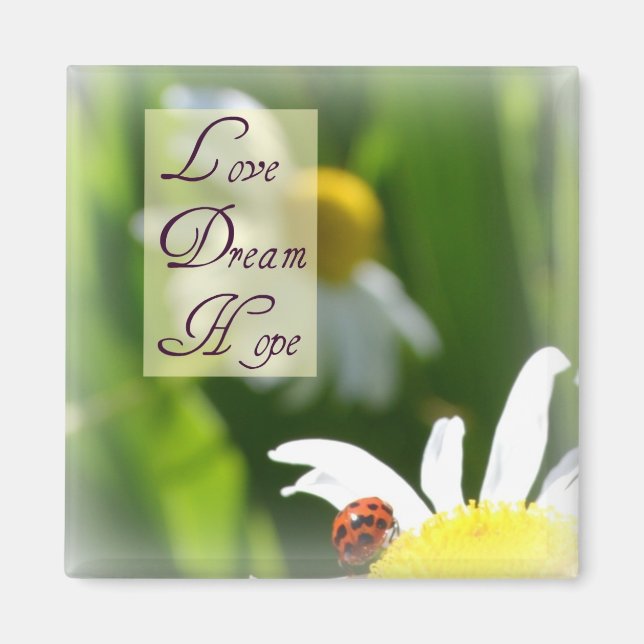 Love, Dream, Hope Ladybug Magnet (Front)