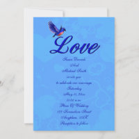 Love Elegant Bluebird Wedding 