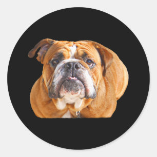 Love English Bulldog Dog Face -  Brown Mascot Classic Round Sticker