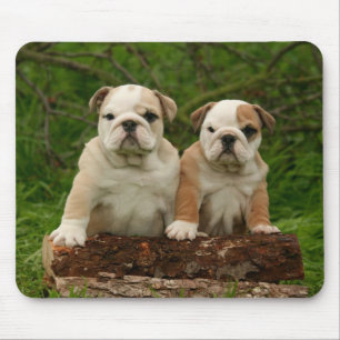 Love English Bulldog Puppy Dog Mousepad