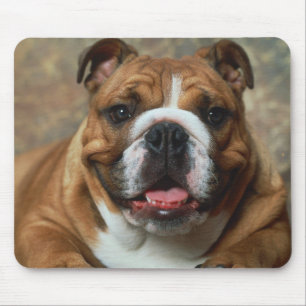 Love English Bulldog Puppy Dog Portrait Mousepad