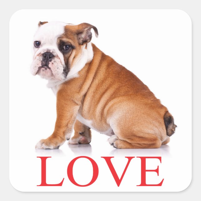Love English Bulldog Puppy Dog Sticker / Seal (Front)