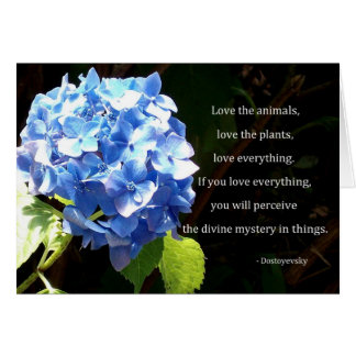 Love everything