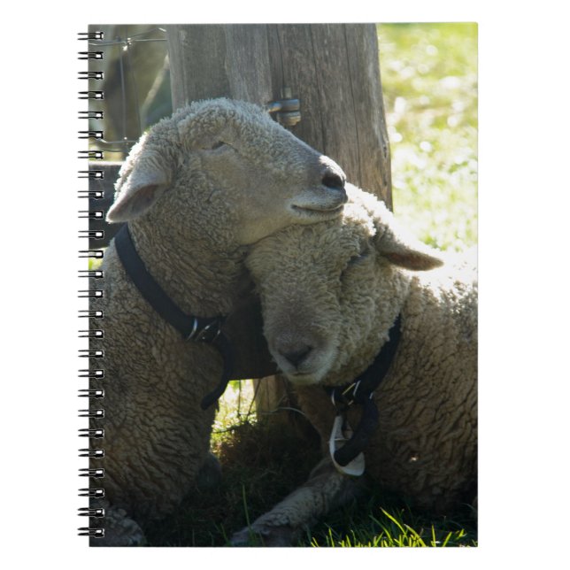 Love Ewe Sheep Notebook (Front)