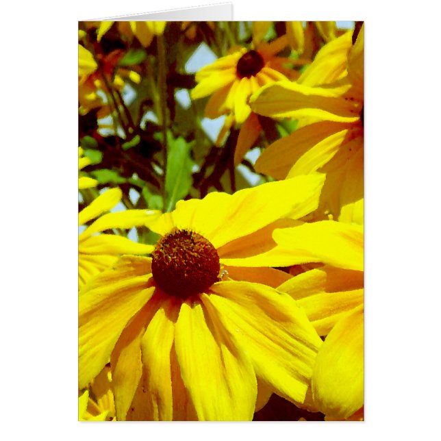 Love Flower_ (Front)