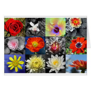 Love Flowers Photograph Collage
