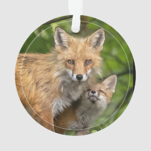 Love For Father Ornament