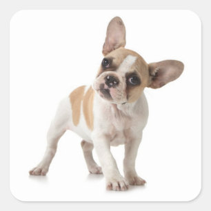 Love French Bulldog Puppy Dog Sticker / Seal