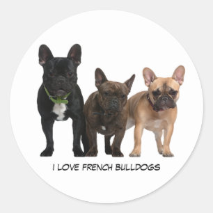  love French Bulldogs Classic Round Sticker