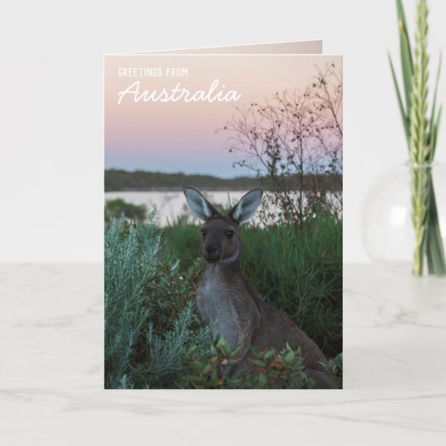 Love From Australia Kangaroo Sunset Lake Custom Card (Front)