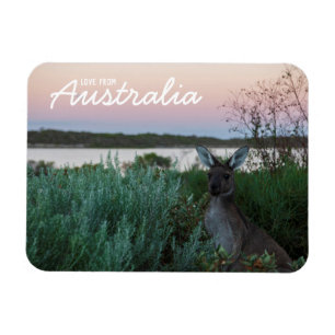Love From Australia Kangaroo Sunset Lake Magnet