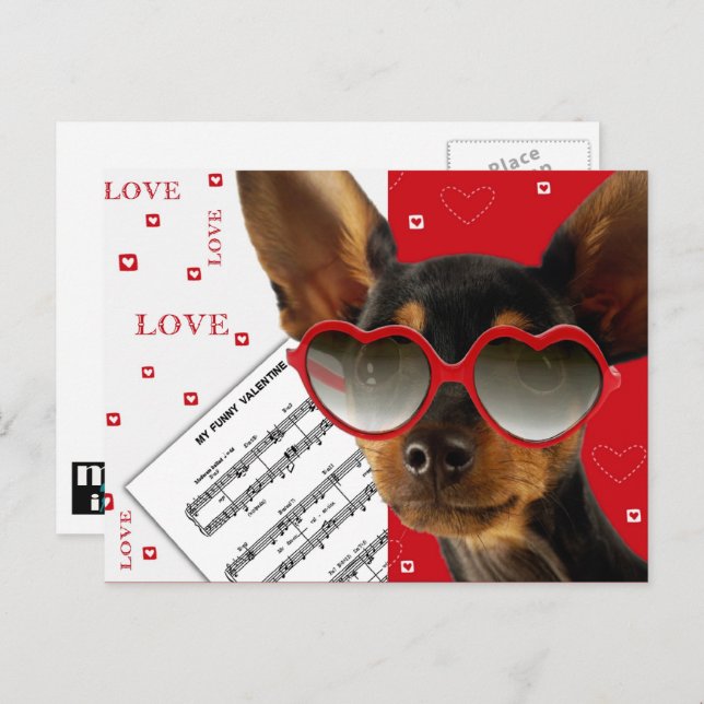 Love. Funny Dog Valentine's Day  Holiday Postcard (Front/Back)