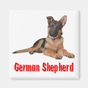 Love German Shepherd Puppy Dog Fridge Magnet