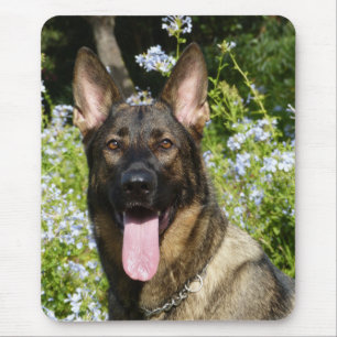Love German Shepherd Puppy Dog Portrait Mousepad