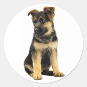 Love German Shepherd Puppy Dog Stickers