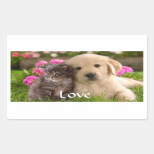 Love Golden Retriever Puppy  and Kitten  Stickers