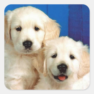 Love Golden Retriever Puppy Dog Stickers