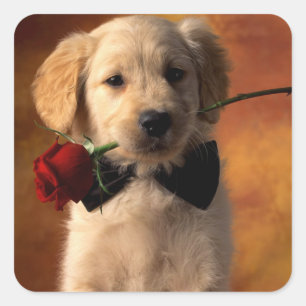Love Golden Retriever Puppy Dog Stickers