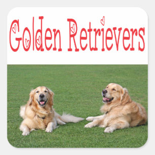 Love Golden Retriever Puppy Dog Stickers