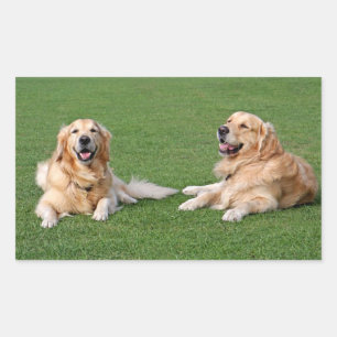 Love Golden Retriever Puppy Dog Stickers