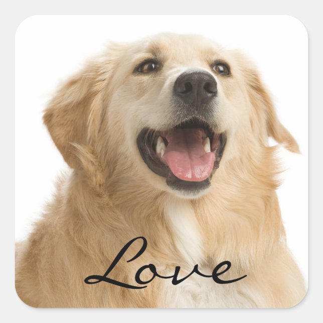 Love Golden Retriever Puppy Dog Stickers (Front)