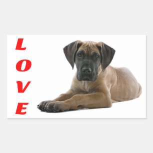 Love Great Dane Puppy Dog Sticker / Seal