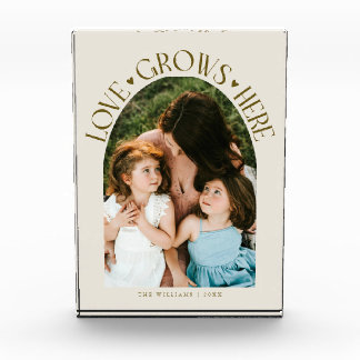 Love Grows Here Modern Arch Cream Photo Block