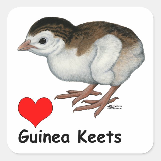 Love Guinea Keets Square Sticker (Front)