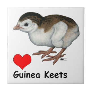Love Guinea Keets Tile
