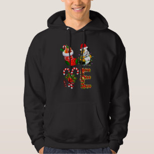Love Guinea Pig Christmas Lights Santa Hat Christ Hoodie