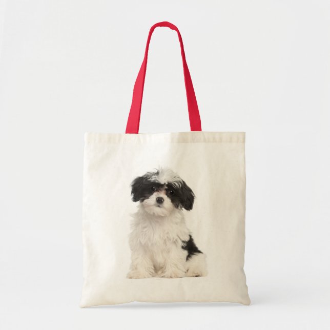 Love Havanese Puppy Dog Canvas Totebag Tote Bag (Front)