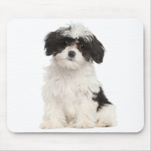 Love Havanese Puppy Dog Mousepad