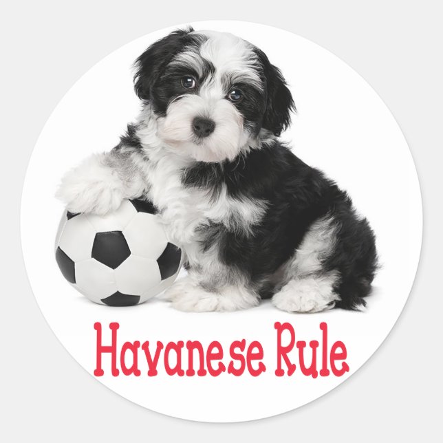 Love Havanese Puppy Dog Stickers Seal (Front)