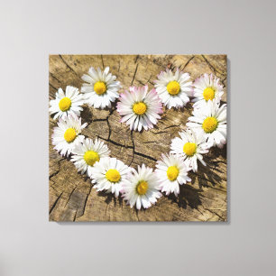 Love Heart Daisies Canvas Print