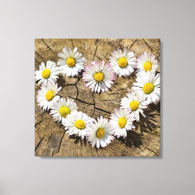 Love Heart Daisies Canvas Print (Front)