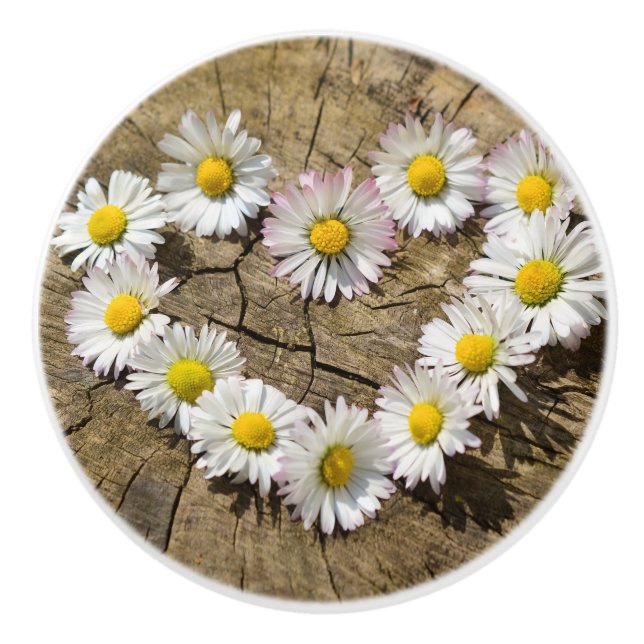 Love Heart Daisies Ceramic Knob (Front)