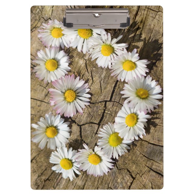 Love Heart Daisies Clipboard (Front)
